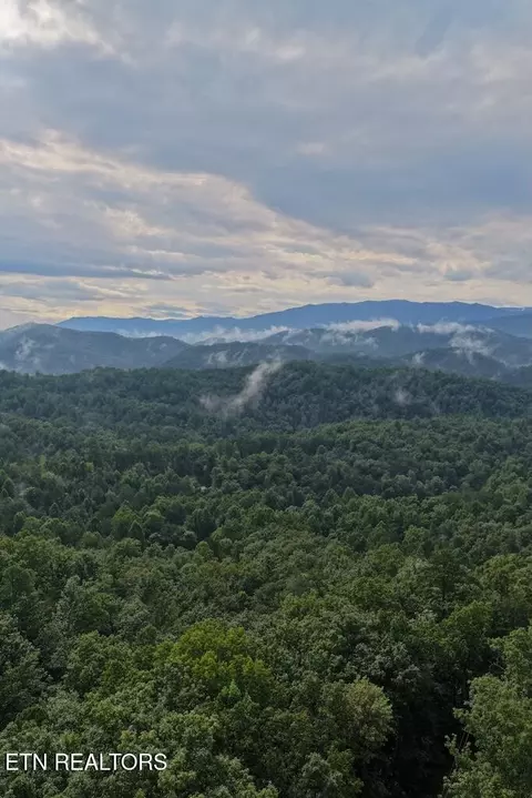 lot25 Shady Oaks Way, Sevierville, TN 37876