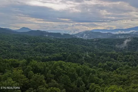 lot42 Shady Oaks Way, Sevierville, TN 37876