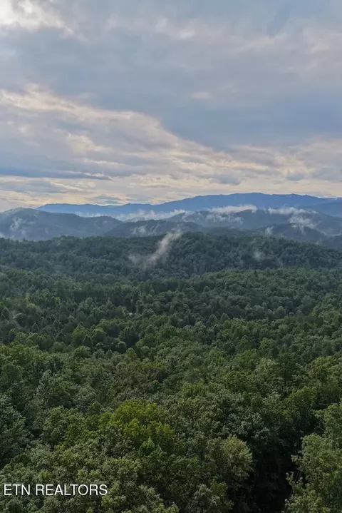 lot43 Shady Oaks Way, Sevierville, TN 37876