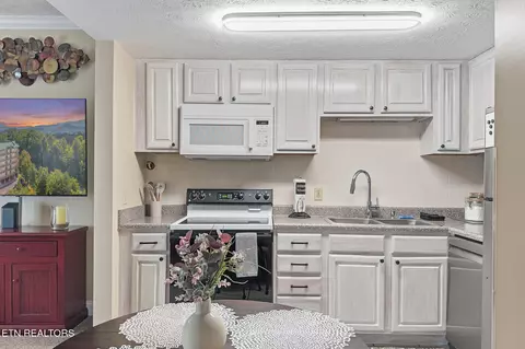 Kitchen - 818 Golf View Blvd UNIT 1401, Pigeon Forge, TN 37863 photo 3 of 3