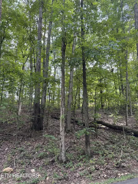 1 Ac Sunnyside Rd, Philadelphia, TN 37846
