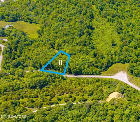 Saddleridge Drive, Speedwell, TN 37870