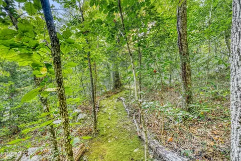 Exterior - 733 Cavern Rd, Townsend, TN 37882 photo 18 of 20