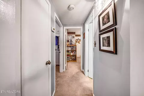 Entry Way - 733 Cavern Rd, Townsend, TN 37882 photo 2 of 2
