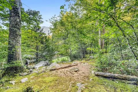 Exterior - 733 Cavern Rd, Townsend, TN 37882 photo 19 of 20