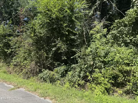 726 Brookhill Dr, Etowah, TN 37331