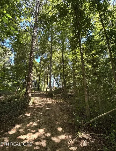 388 W Toomey Ln, Madisonville, TN 37354