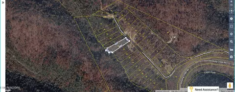 Lonesome Mountain Lane, Pioneer, TN 37847