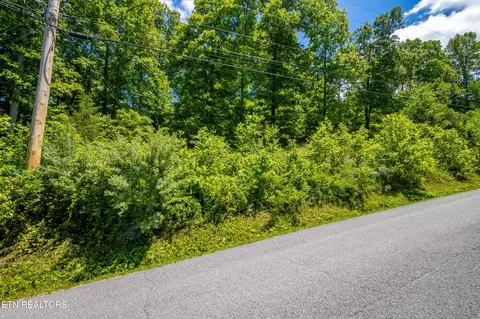 Saddleridge, Speedwell, TN 37870