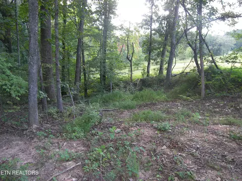 Wells Rd, Powell, TN 37849 photo 12