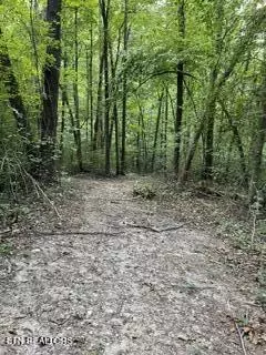 Wells Rd, Powell, TN 37849 photo 8