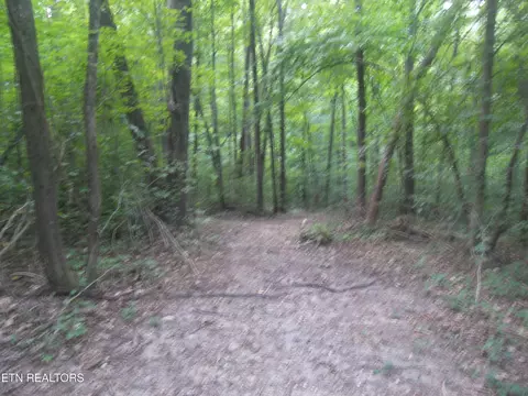 Wells Rd, Powell, TN 37849 photo 14