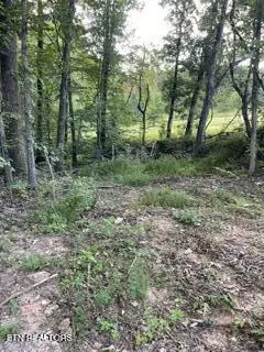 Wells Rd, Powell, TN 37849 photo 6