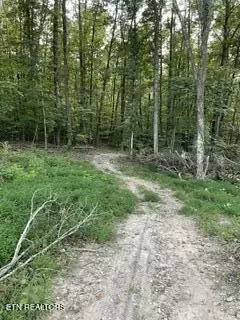 Wells Rd, Powell, TN 37849 photo 5