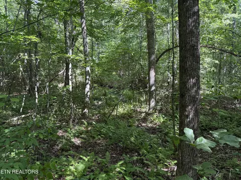 lot18 Laurel Way, Monterey, TN 38574