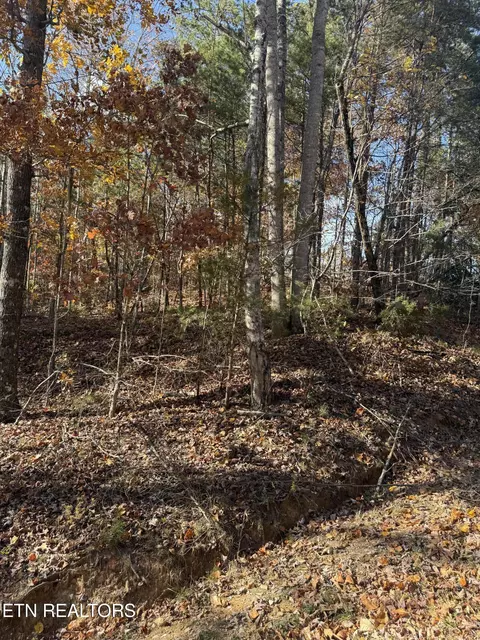 Scenic Woods Way, Sevierville, TN 37876