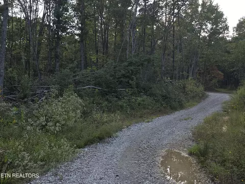lot Apt 9 Mill Creek Rd #026 009.19, Sunbright, TN 37872