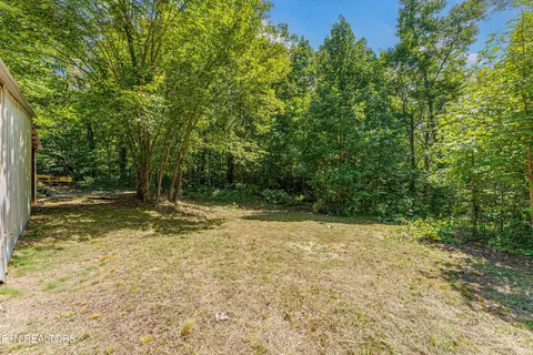 0 Capuchin Rd, Oneida, TN 37841 photo 16