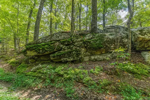 0 Capuchin Rd, Oneida, TN 37841 photo 18