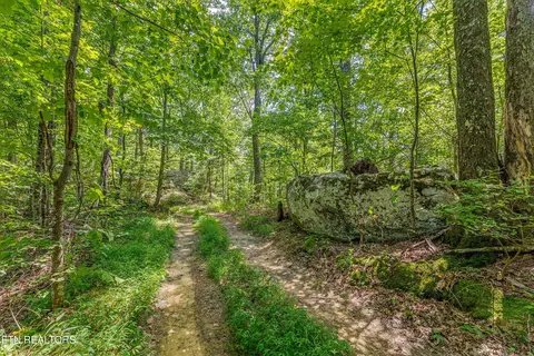 0 Capuchin Rd, Oneida, TN 37841 photo 20