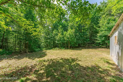 0 Capuchin Rd, Oneida, TN 37841 photo 8