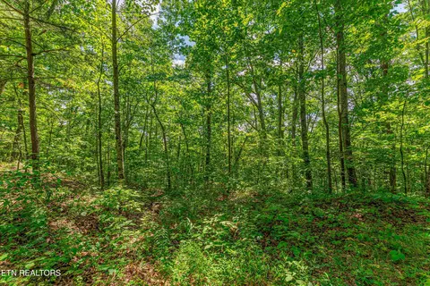 0 Capuchin Rd, Oneida, TN 37841 photo 21