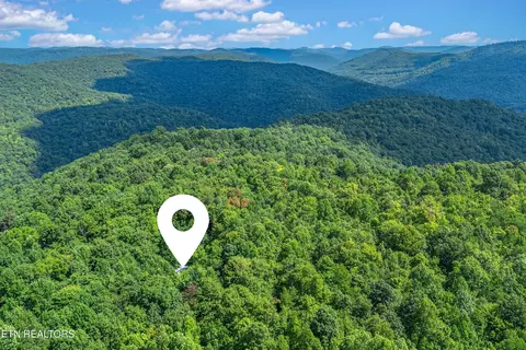 0 Capuchin Rd, Oneida, TN 37841 photo 24
