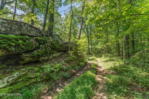 0 Capuchin Rd, Oneida, TN 37841 photo 17