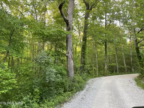 Carson Town Rd, Sunbright, TN 37872