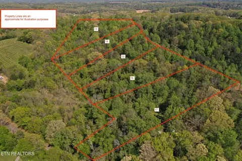 Elm Lane Lot 16, Sweetwater, TN 37826