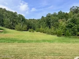 lot398 W Mountain Dr, Rockwood, TN 37854