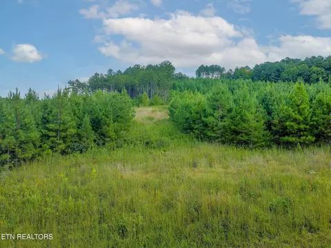 lot Apt 41 Three Point Rd, Madisonville, TN 37354