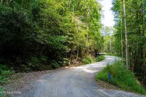 Chilhowee Loop, Walland, TN 37886 photo 10
