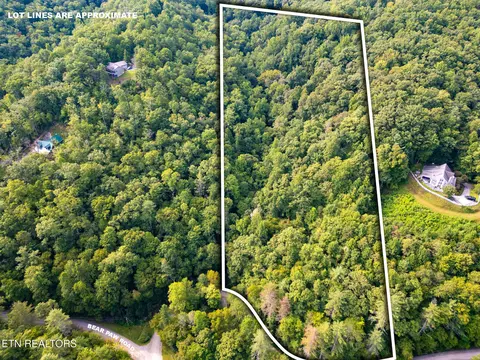 Chilhowee Loop, Walland, TN 37886 photo 8