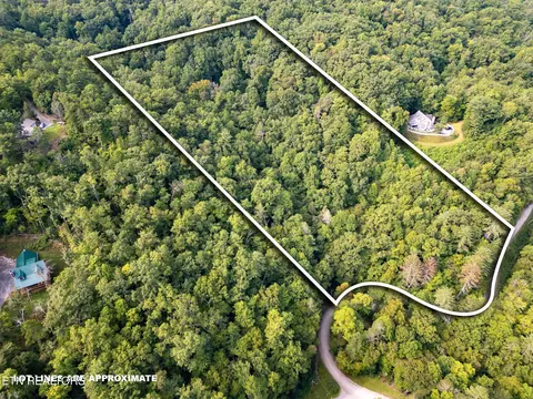 Chilhowee Loop, Walland, TN 37886 photo 5