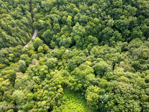 Chilhowee Loop, Walland, TN 37886 photo 12
