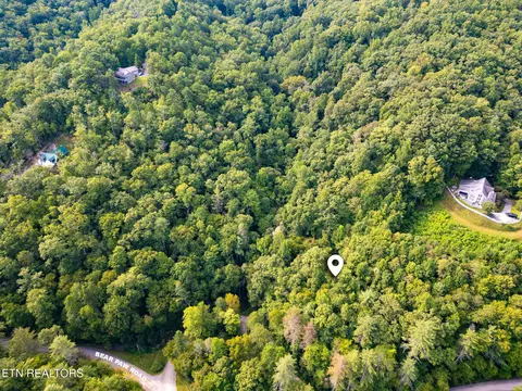 Chilhowee Loop, Walland, TN 37886 photo 9
