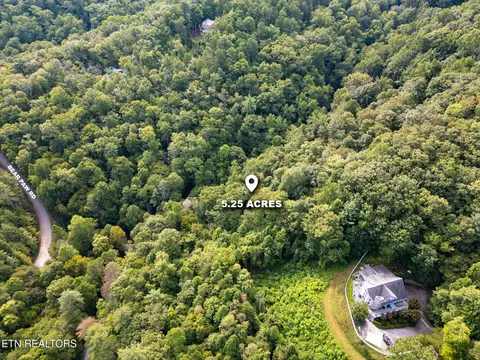 Chilhowee Loop, Walland, TN 37886 photo 6
