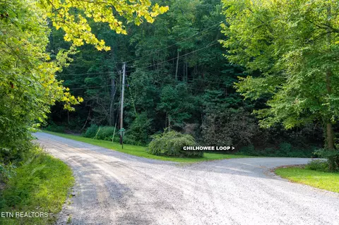 Chilhowee Loop, Walland, TN 37886 photo 11