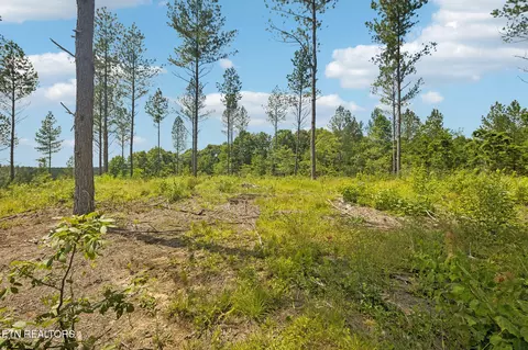 nydeck tr, Robbins, TN 37852 photo 7