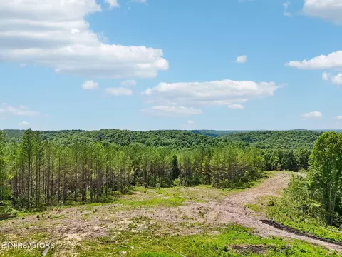 nydeck tr, Robbins, TN 37852 photo 4