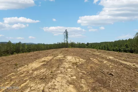 nydeck tr, Robbins, TN 37852 photo 14