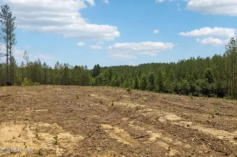 nydeck tr, Robbins, TN 37852 photo 13