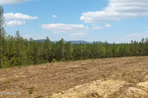 nydeck tr, Robbins, TN 37852 photo 18