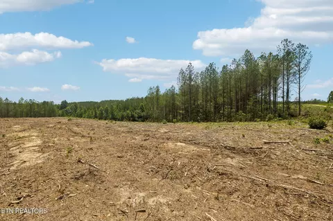 nydeck tr, Robbins, TN 37852 photo 10