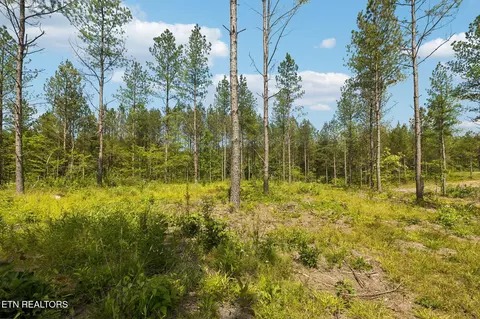 nydeck tr, Robbins, TN 37852 photo 8