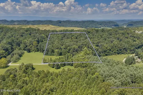 View/Area - 1309 Gamble Dr, Heiskell, TN 37754 photo 6 of 6