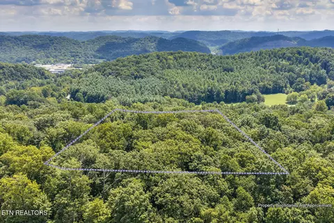 View/Area - 1309 Gamble Dr, Heiskell, TN 37754 photo 4 of 6