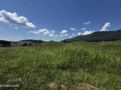 136 B B Dr, Speedwell, TN 37870