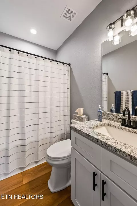 Bath - 133 Pool Dr, La Follette, TN 37766 photo 4 of 6